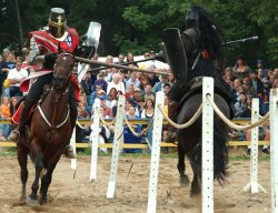 Knights of Mayhem Jousting